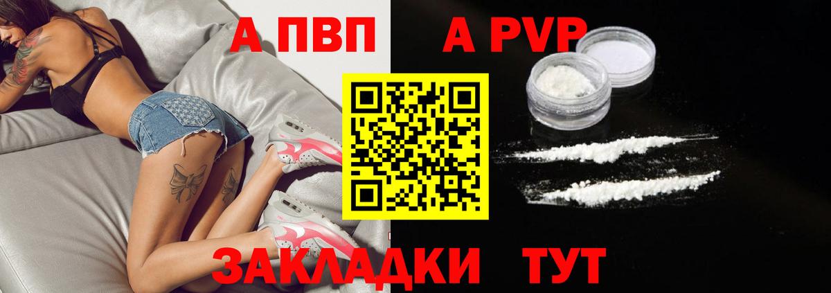 Альфа ПВП СК Великий Устюг
