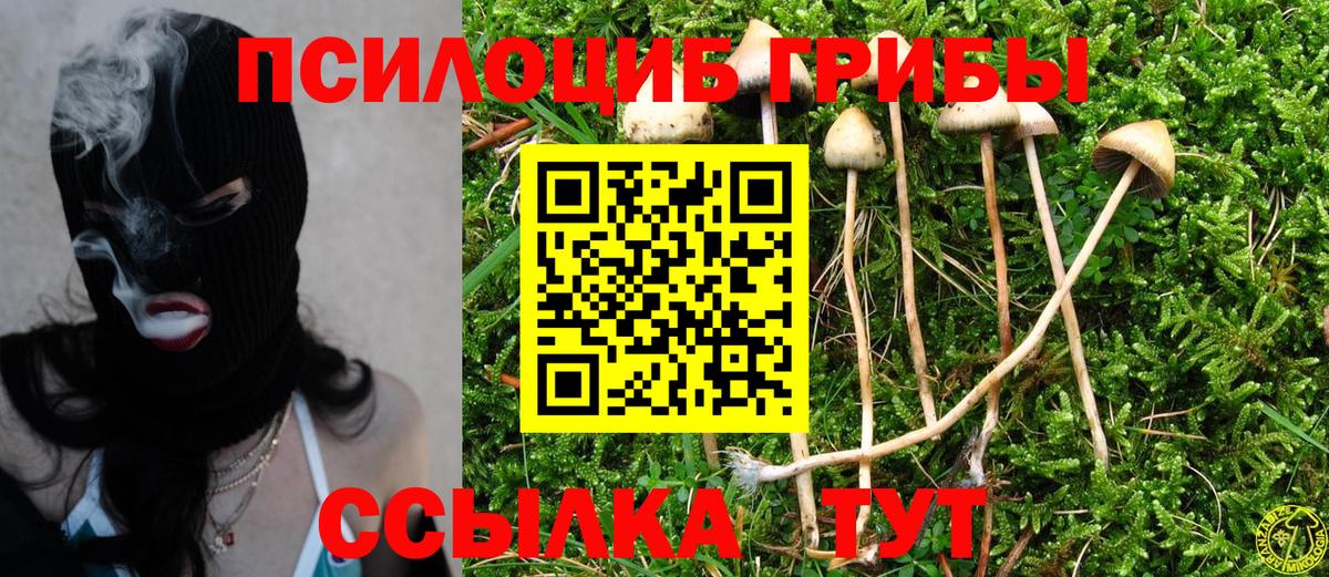 Псилоцибиновые грибы Magic Shrooms Великий Устюг